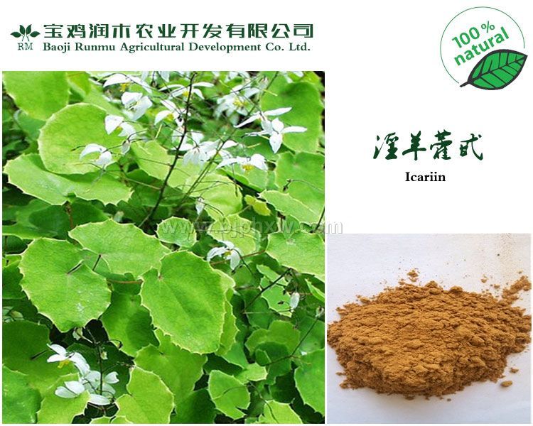 專業(yè)的植物提取物商家 長期供應(yīng) 淫羊藿甙50%
